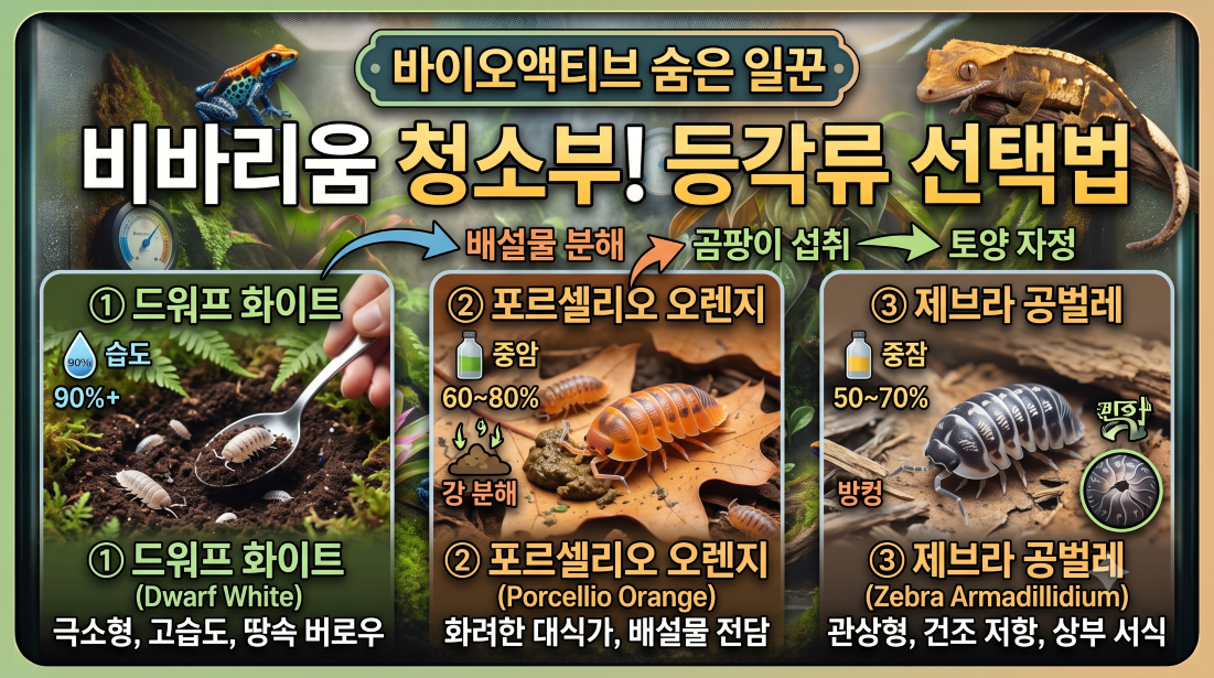 등각류선택법