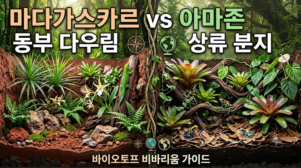 바이오토프비바리움