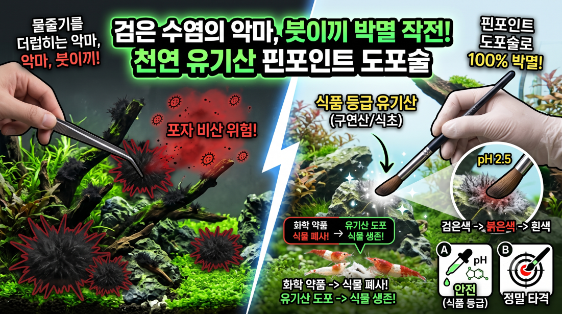 붓이끼박멸작전